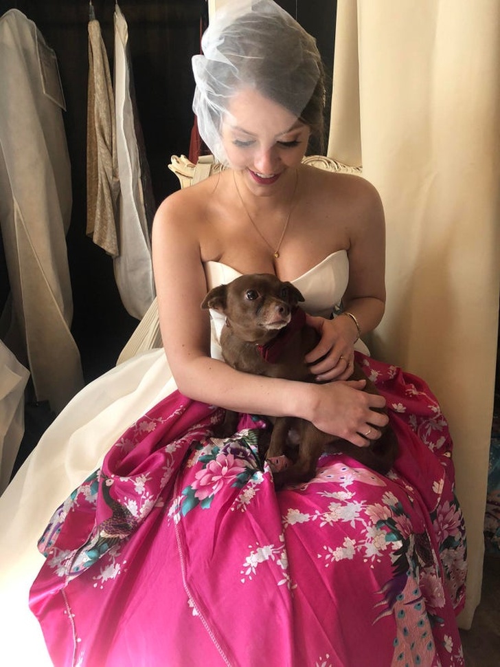 20+ зворушливих доказів того, що наші вихованці вже точно будуть з нами і в горі, і в радості