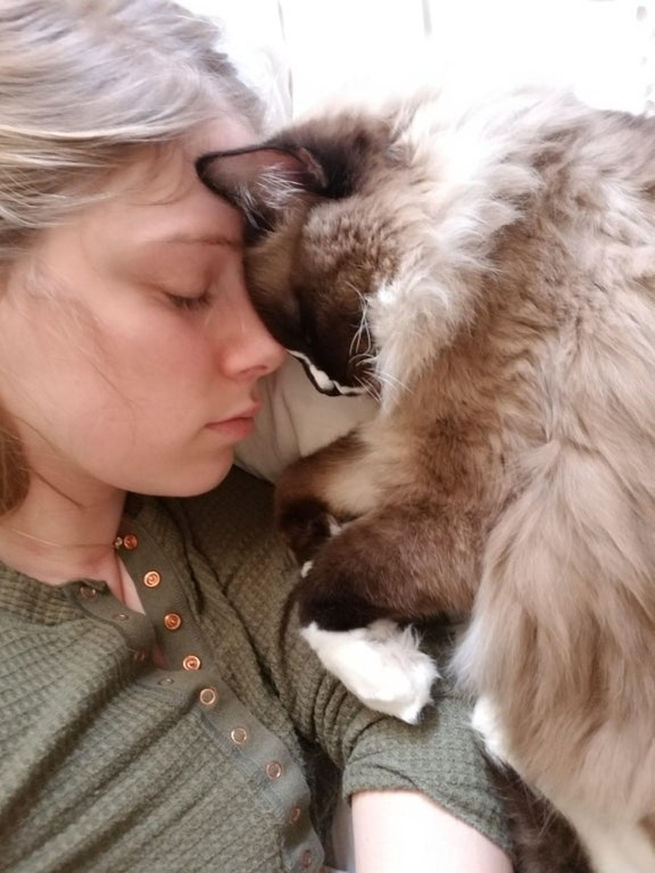 20+ зворушливих доказів того, що наші вихованці вже точно будуть з нами і в горі, і в радості