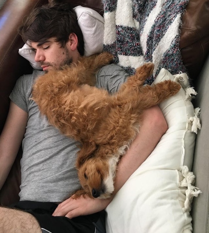 20+ зворушливих доказів того, що наші вихованці вже точно будуть з нами і в горі, і в радості