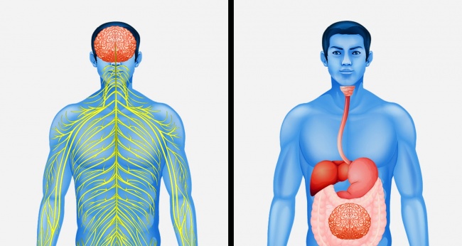 21 факт про нашому світі для тих, хто вже давно нічому не дивується