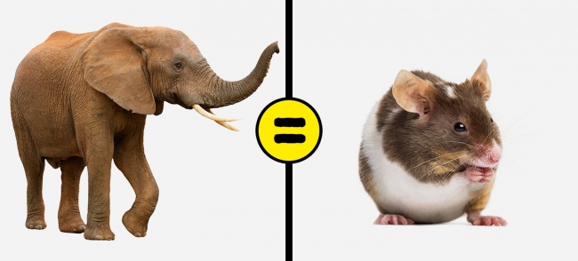 21 факт про нашому світі для тих, хто вже давно нічому не дивується