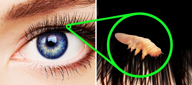 21 вражаючий факт про нашому тілі, які ми не знали