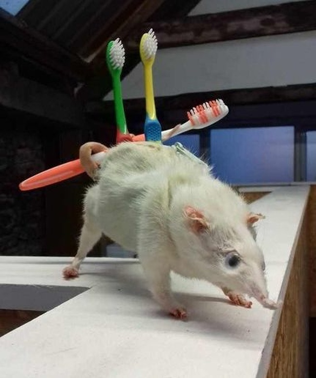 22 дизайнера, які в цьому місяці точно залишаться без премії