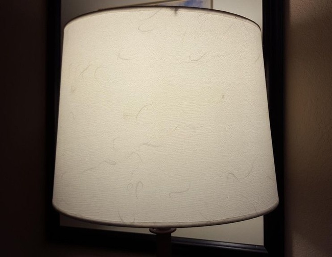 22 дизайнера, які в цьому місяці точно залишаться без премії