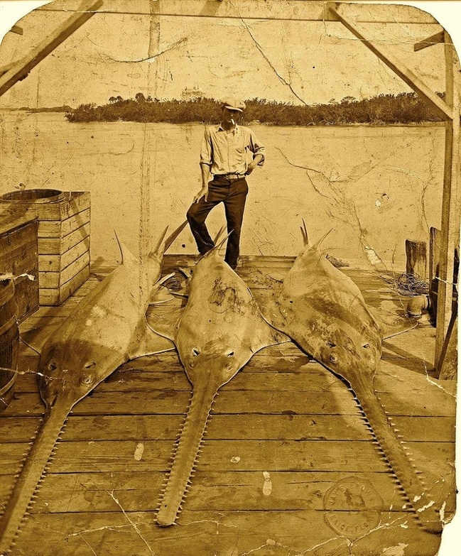 22 докази того, що бабусі і дідусі в молодості відривалися крутіше нас