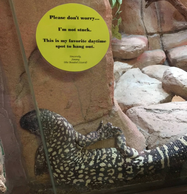 22 людини, які не паряться і вам не радять