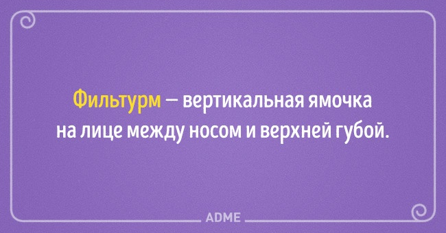 22 несподіваних назви для звичних речей