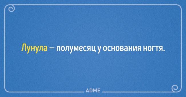 22 несподіваних назви для звичних речей