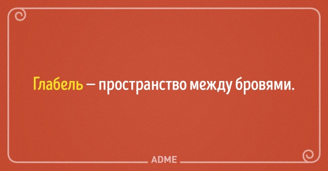 22 несподіваних назви для звичних речей