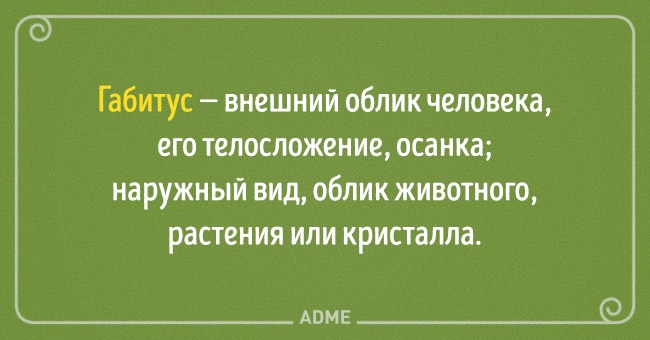 22 несподіваних назви для звичних речей