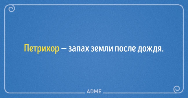 22 несподіваних назви для звичних речей