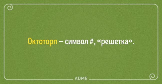 22 несподіваних назви для звичних речей