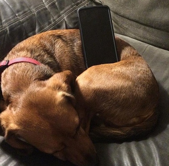 22 особи, які беруть лайфхаки прямо з майбутнього