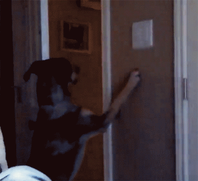 22 особи, які беруть лайфхаки прямо з майбутнього