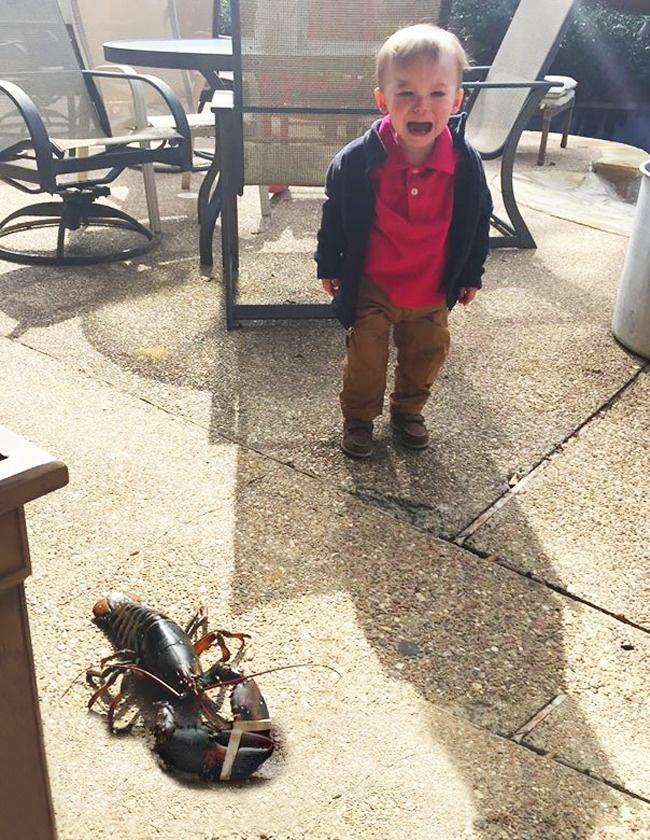 22 причини закотити істерику, коли тобі 4 роки