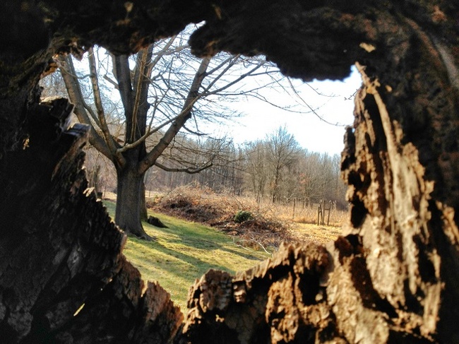 23 абсолютно звичайні речі, якими ви їх ще не бачили