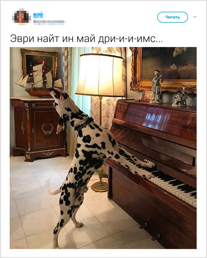 23 дивні речі, які ми робимо, але не хочемо зізнатися в цьому навіть собі