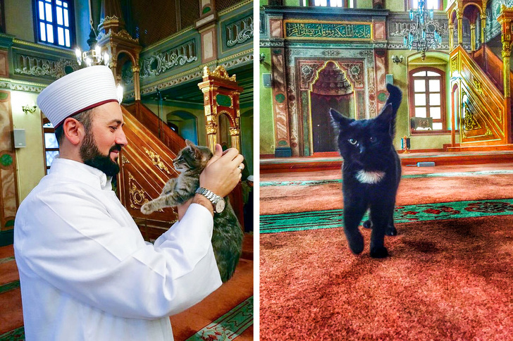 23 факти про все на світі, які зроблять з вас справжнього ерудита