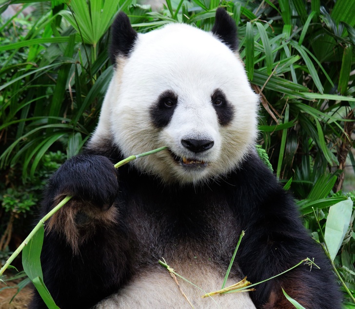 23 факти про все на світі, які зроблять з вас справжнього ерудита