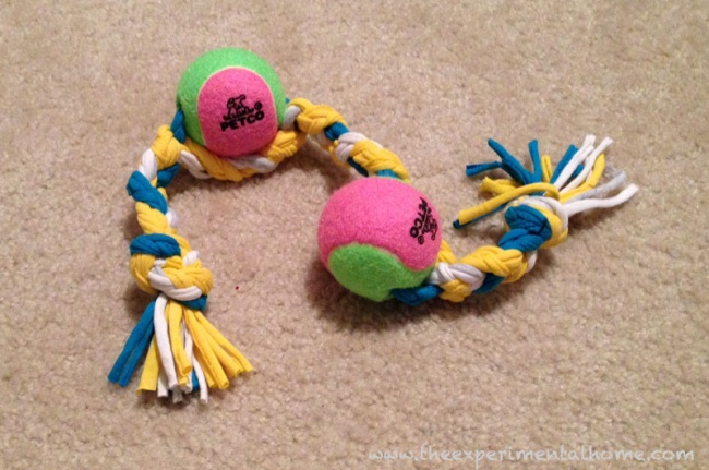 23 приголомшливі речі своїми руками, від яких ваша собака буде в захваті