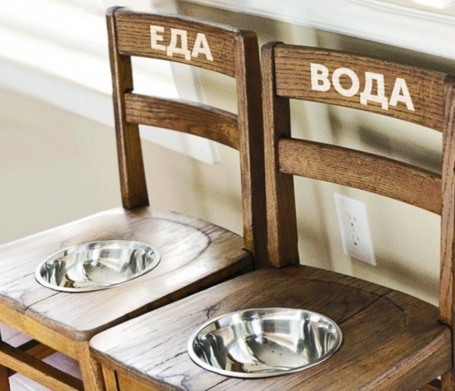 23 приголомшливі речі своїми руками, від яких ваша собака буде в захваті