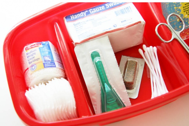 23 приголомшливі речі своїми руками, від яких ваша собака буде в захваті