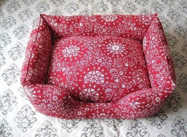 23 приголомшливі речі своїми руками, від яких ваша собака буде в захваті