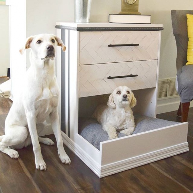 23 приголомшливі речі своїми руками, від яких ваша собака буде в захваті