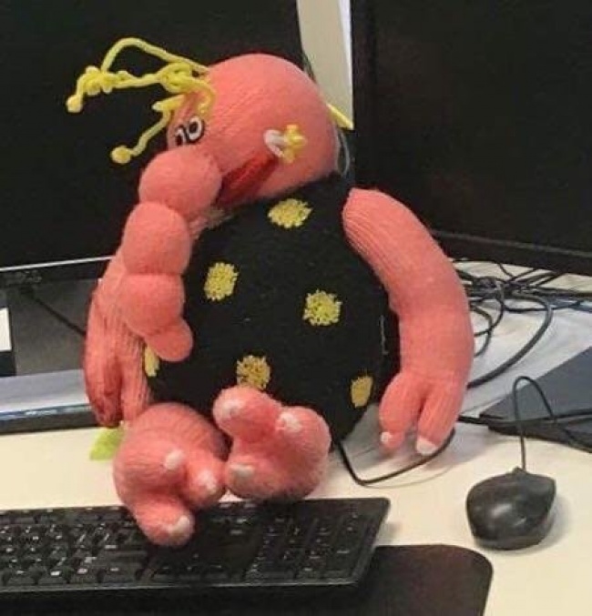 24 дивні іграшки, до виробникам яких у нас залишилося дуже багато запитань