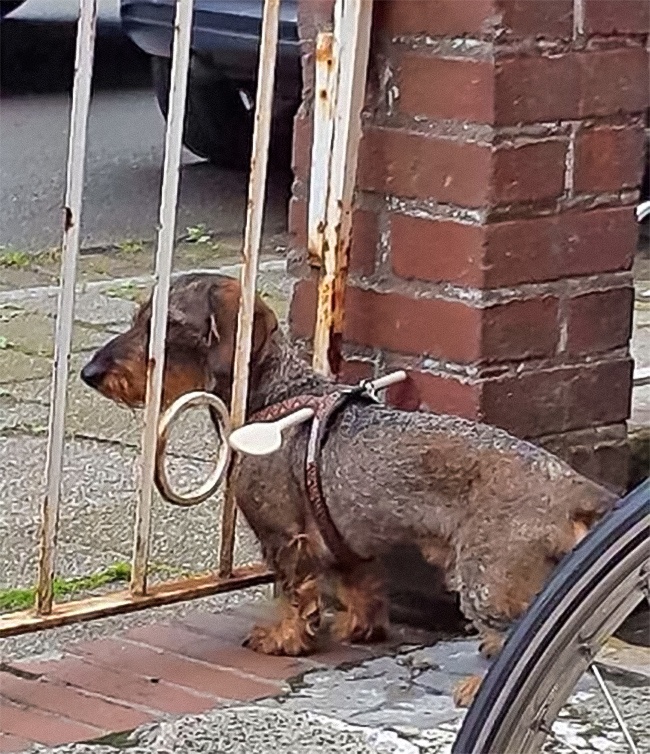 24 найдурніших лайфхака від експертів по марним радам