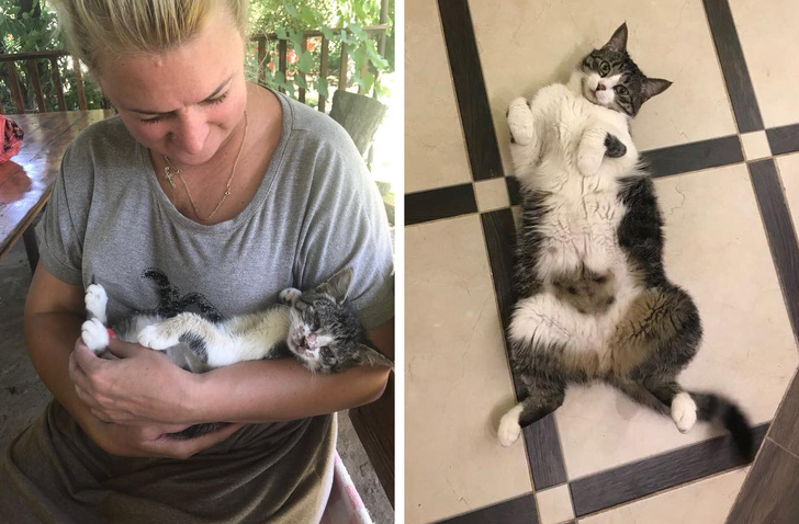 24 історію про справжнє кохання і дружбу людини і тварин