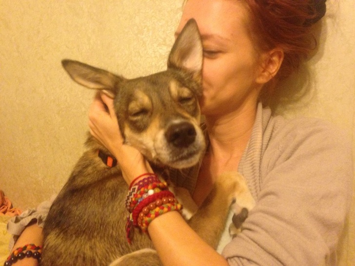 24 історію про справжнє кохання і дружбу людини і тварин