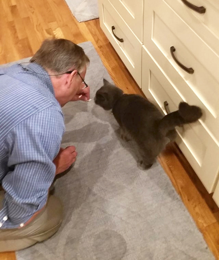 25 брутальних чоловіків, які колись були проти домашніх тварин