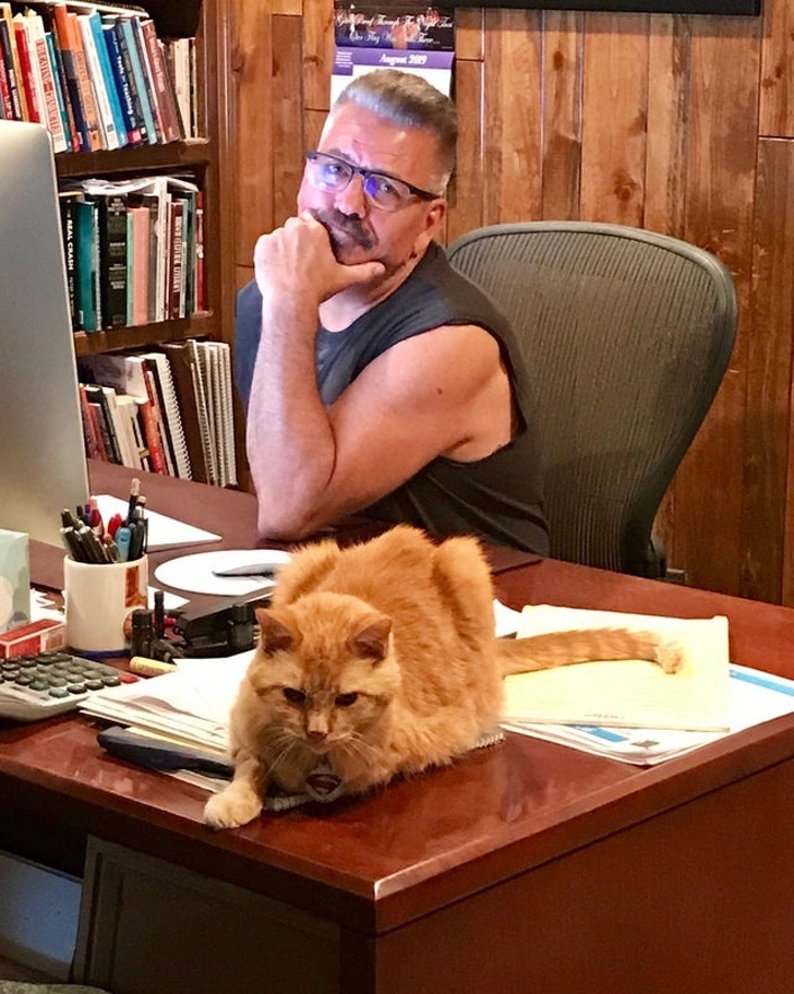 25 брутальних чоловіків, які колись були проти домашніх тварин