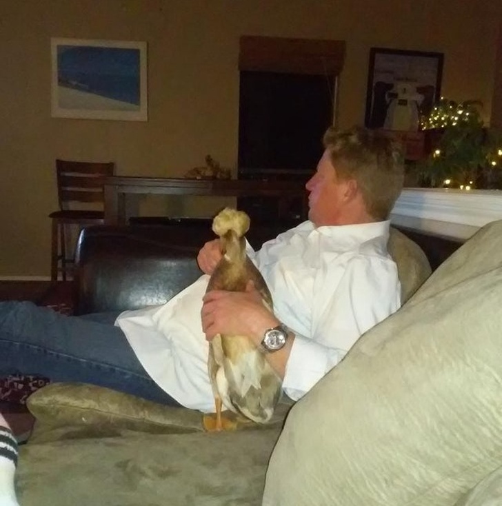 25 брутальних чоловіків, які колись були проти домашніх тварин