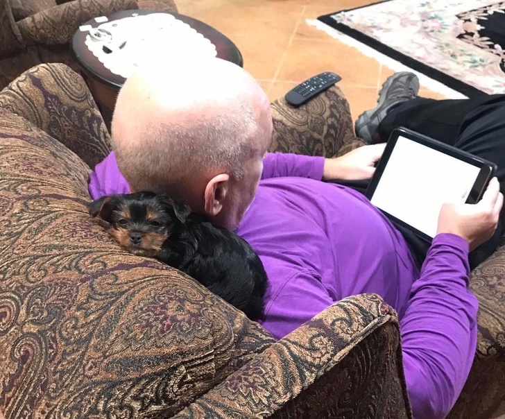 25 брутальних чоловіків, які колись були проти домашніх тварин