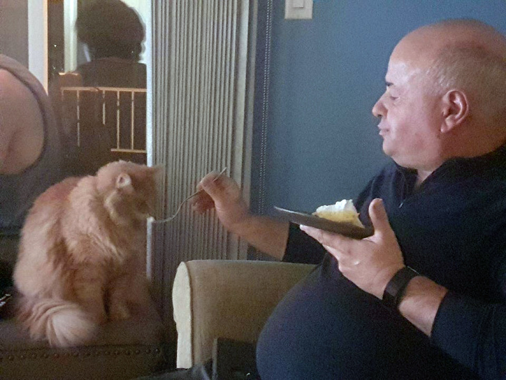 25 брутальних чоловіків, які колись були проти домашніх тварин