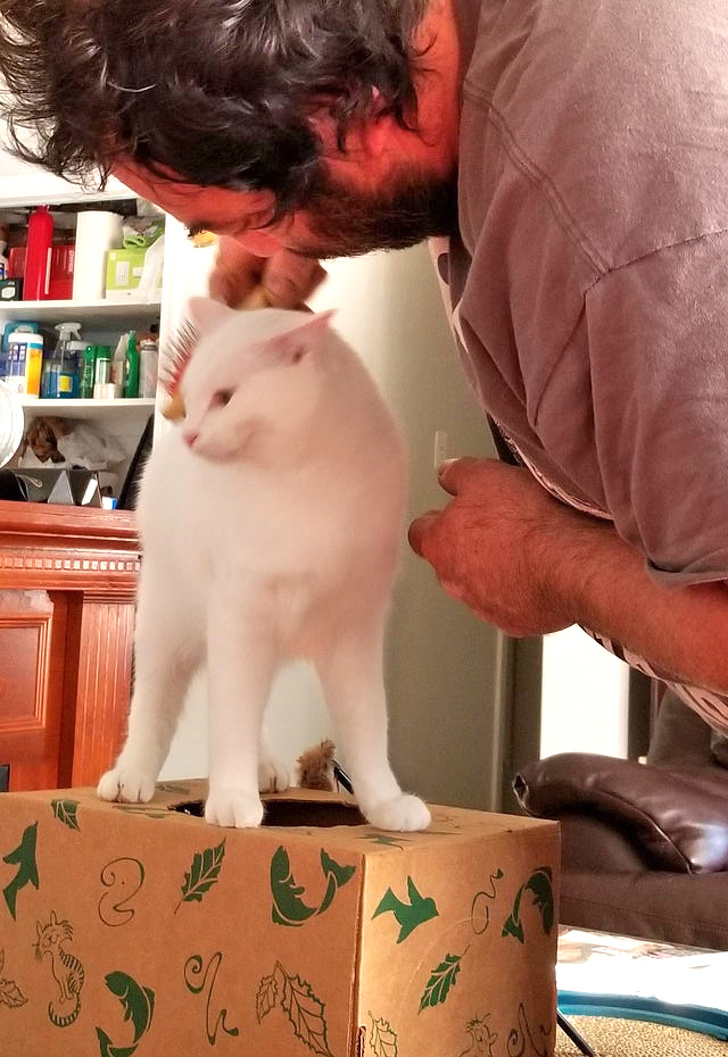 25 брутальних чоловіків, які колись були проти домашніх тварин