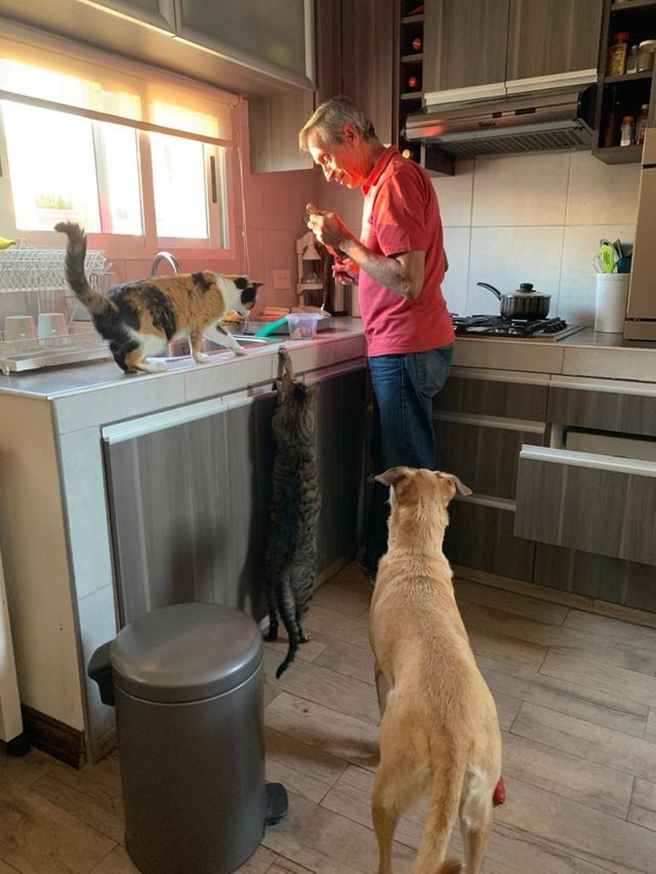 25 брутальних чоловіків, які колись були проти домашніх тварин