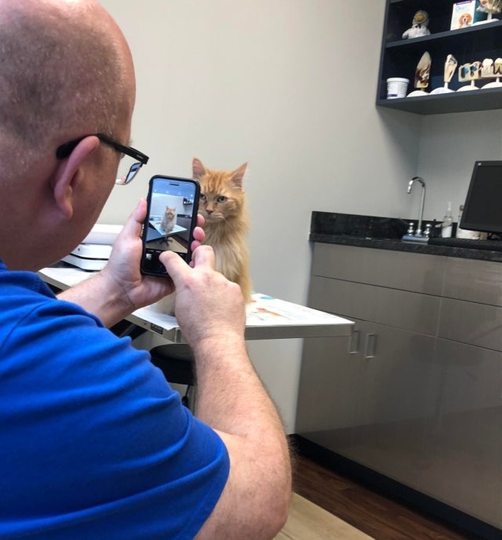 25 брутальних чоловіків, які колись були проти домашніх тварин