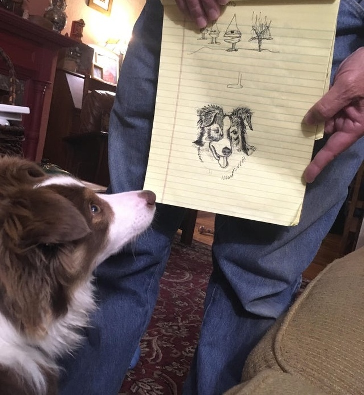 25 брутальних чоловіків, які колись були проти домашніх тварин