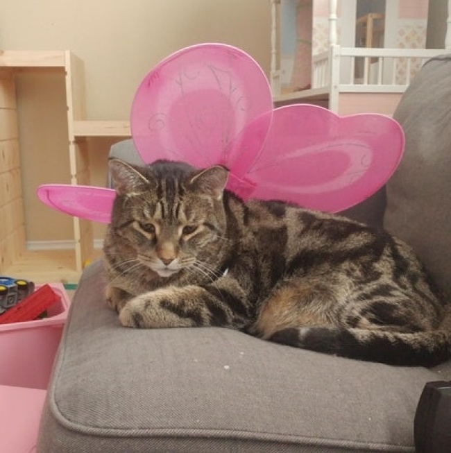 25 доказів того, що бути батьком часом біса весело