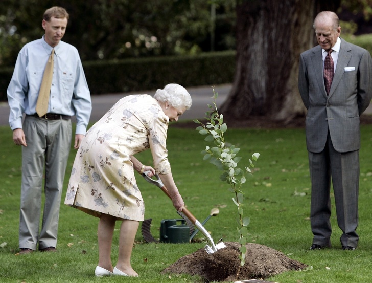 25 фото, які доводять, що повсякденне життя королеви Єлизавети II часом майже не відрізняється від нашої