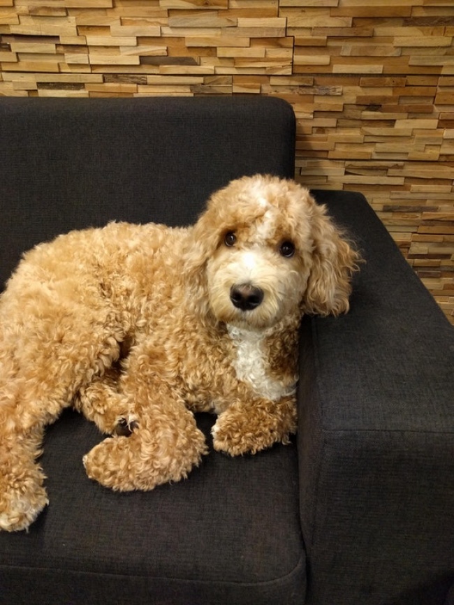 25 фотографій, які переконають вас у тому, що ми живемо в цікавий час