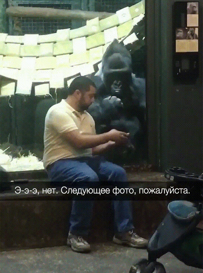 25 фотографій, які переконають вас у тому, що ми живемо в цікавий час