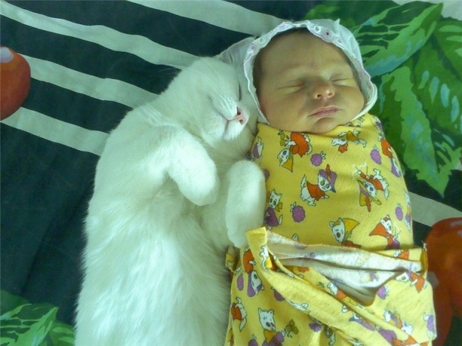 25 фотографій, які зрозуміють всі, хто няньчив дітей