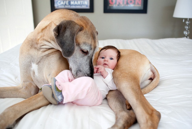 25 фотографій, які зрозуміють всі, хто няньчив дітей