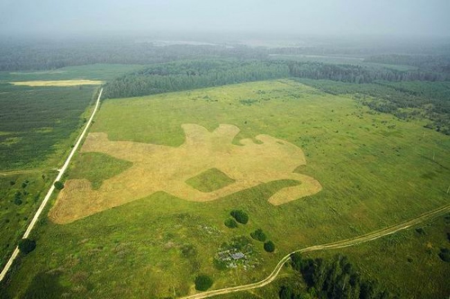 25 компаній, які не даремно заплатили свого дизайнерові