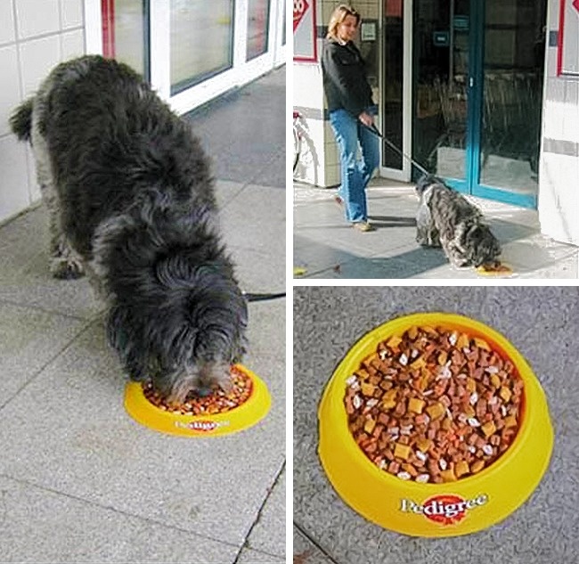 25 компаній, які не даремно заплатили свого дизайнерові