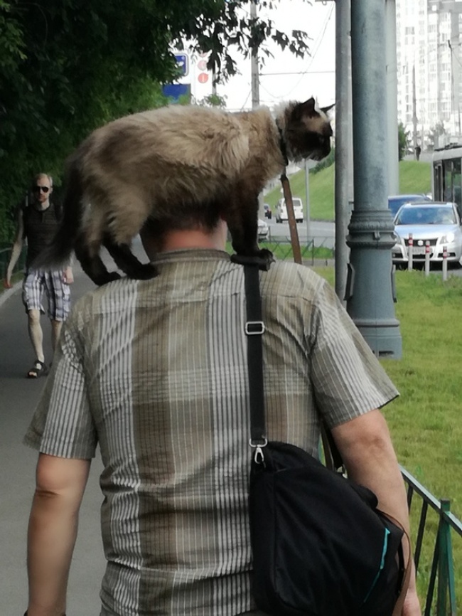 25 людей, які не хочуть бути як всі